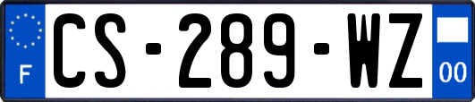 CS-289-WZ