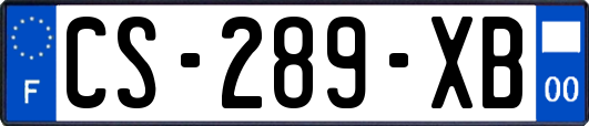 CS-289-XB