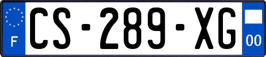 CS-289-XG