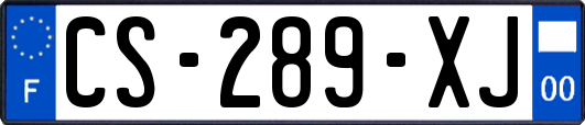 CS-289-XJ