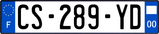 CS-289-YD