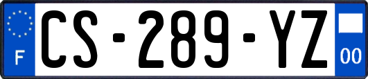 CS-289-YZ