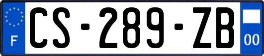 CS-289-ZB