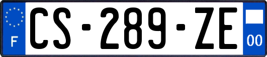 CS-289-ZE