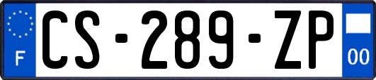 CS-289-ZP