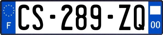 CS-289-ZQ