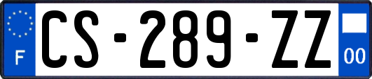 CS-289-ZZ