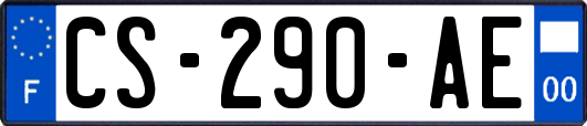 CS-290-AE