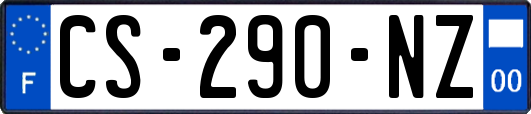 CS-290-NZ