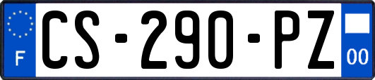 CS-290-PZ