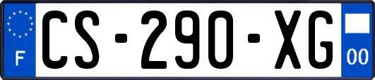 CS-290-XG