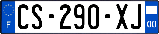 CS-290-XJ