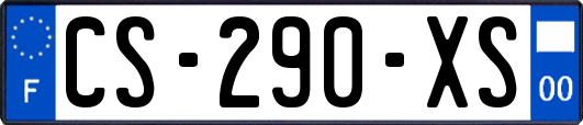 CS-290-XS