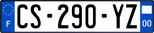 CS-290-YZ