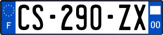 CS-290-ZX