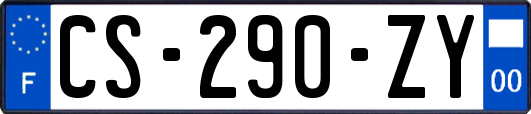 CS-290-ZY