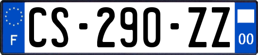 CS-290-ZZ