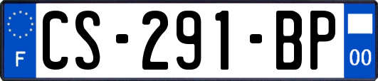 CS-291-BP