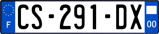 CS-291-DX