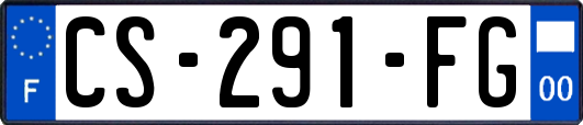 CS-291-FG