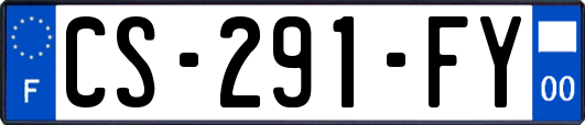 CS-291-FY