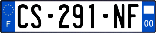 CS-291-NF