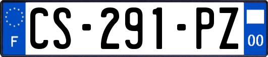 CS-291-PZ