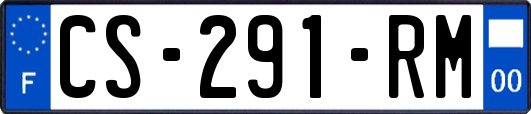 CS-291-RM