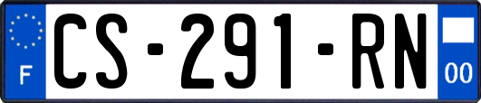 CS-291-RN