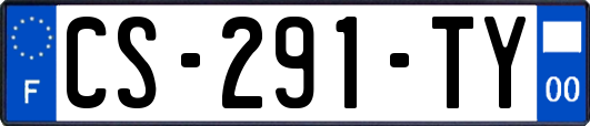 CS-291-TY