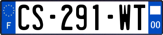 CS-291-WT