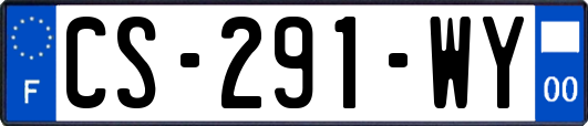 CS-291-WY