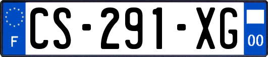 CS-291-XG