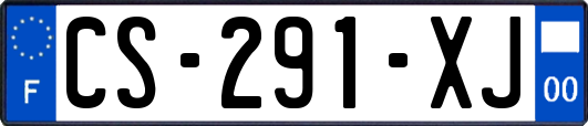 CS-291-XJ