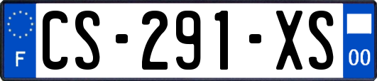 CS-291-XS