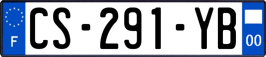 CS-291-YB