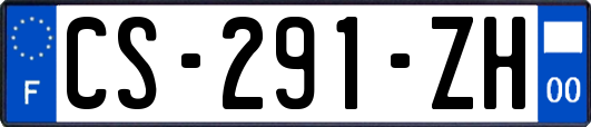 CS-291-ZH