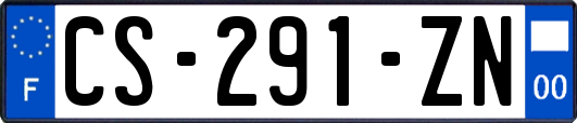 CS-291-ZN