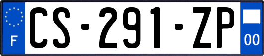 CS-291-ZP