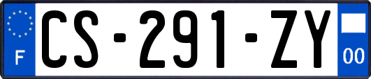 CS-291-ZY