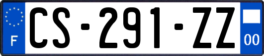 CS-291-ZZ