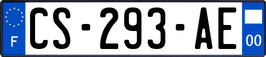 CS-293-AE