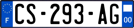 CS-293-AG