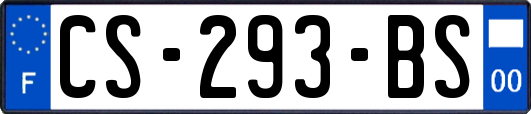 CS-293-BS