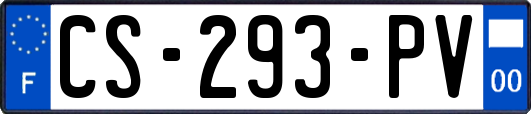 CS-293-PV