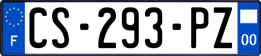 CS-293-PZ