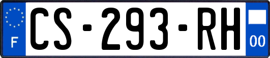 CS-293-RH