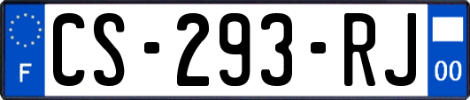 CS-293-RJ