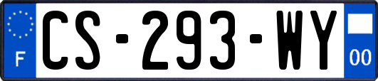 CS-293-WY