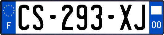 CS-293-XJ